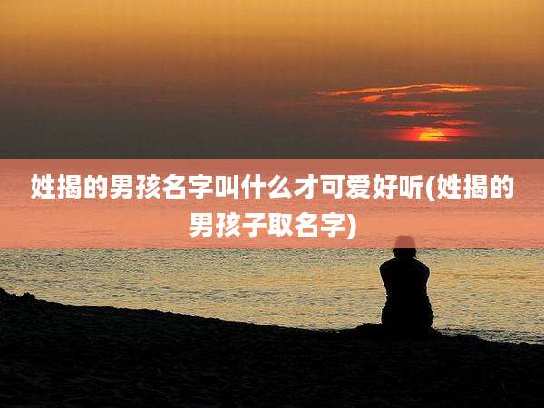 姓揭的男孩名字叫什么才可爱好听(姓揭的男孩子取名字)