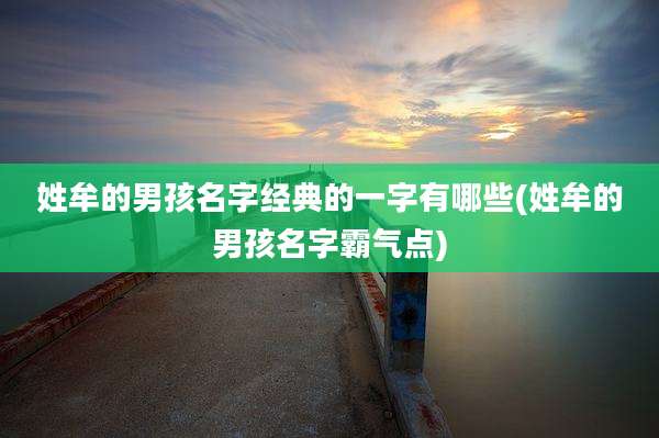 姓牟的男孩名字经典的一字有哪些(姓牟的男孩名字霸气点)
