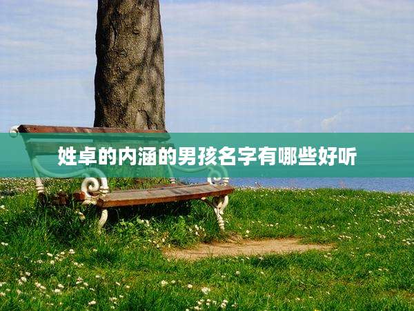 姓卓的内涵的男孩名字有哪些好听