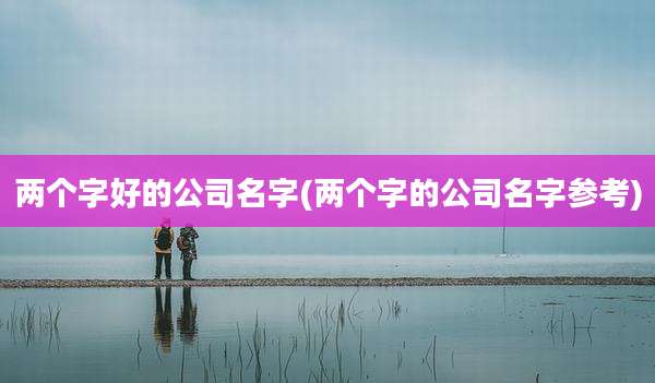 两个字好的公司名字(两个字的公司名字参考)