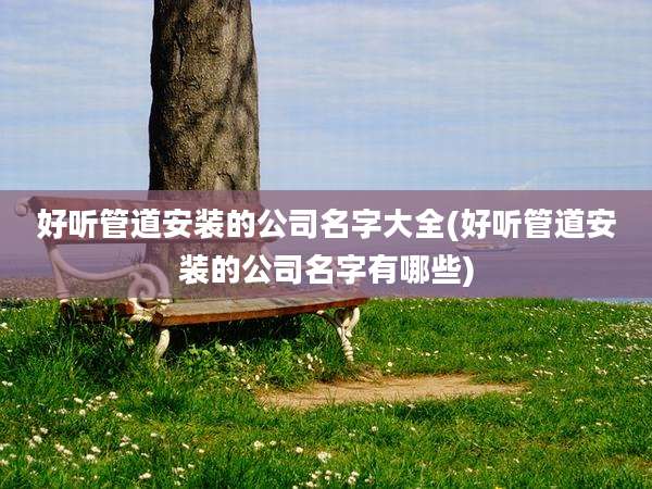 好听管道安装的公司名字大全(好听管道安装的公司名字有哪些)