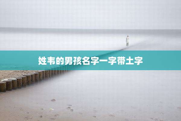 姓韦的男孩名字一字带土字