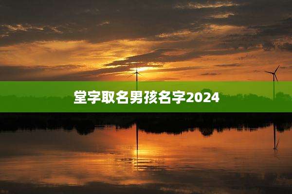堂字取名男孩名字2024