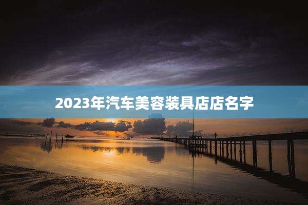 2023年汽车美容装具店店名字