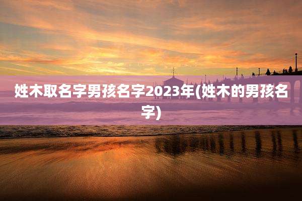 姓木取名字男孩名字2023年(姓木的男孩名字)