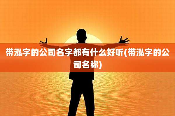 带泓字的公司名字都有什么好听(带泓字的公司名称)