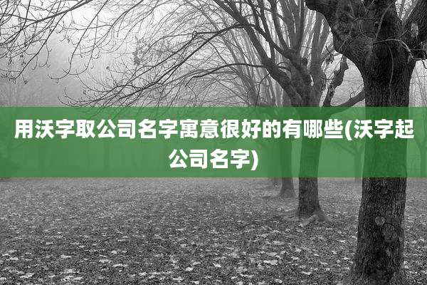 用沃字取公司名字寓意很好的有哪些(沃字起公司名字)