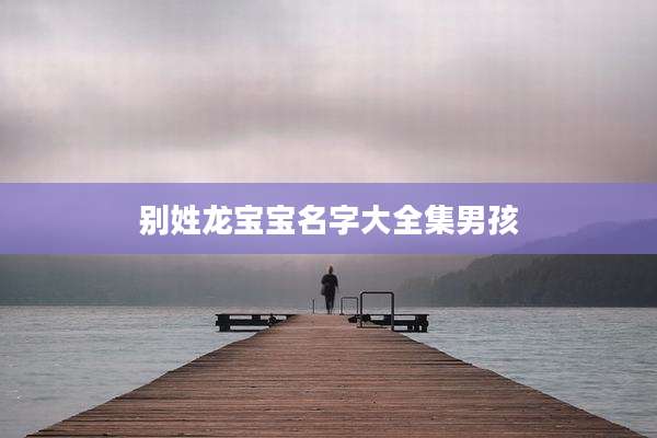 别姓龙宝宝名字大全集男孩