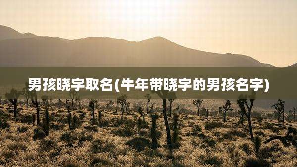 男孩晓字取名(牛年带晓字的男孩名字)