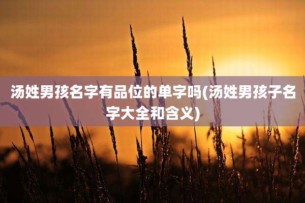 汤姓男孩名字有品位的单字吗(汤姓男孩子名字大全和含义)
