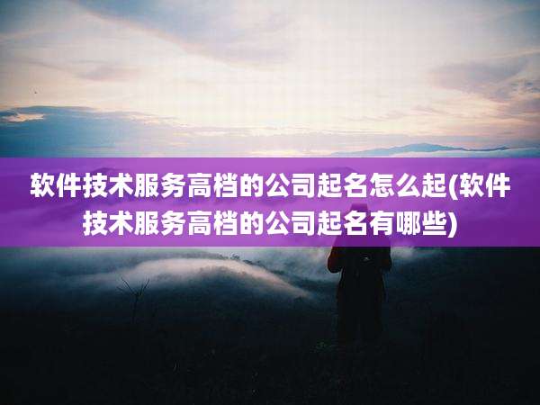 软件技术服务高档的公司起名怎么起(软件技术服务高档的公司起名有哪些)