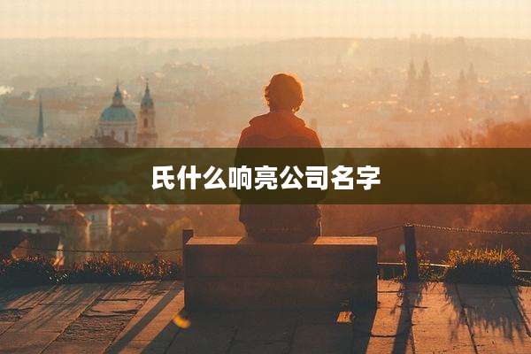 氏什么响亮公司名字