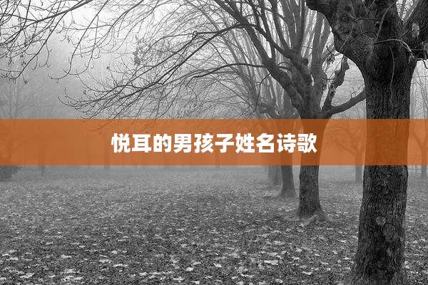 悦耳的男孩子姓名诗歌