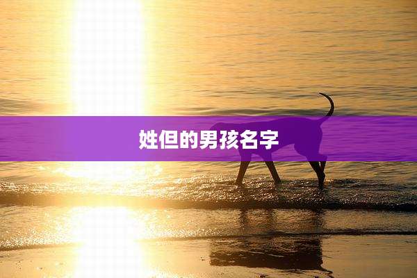 姓但的男孩名字