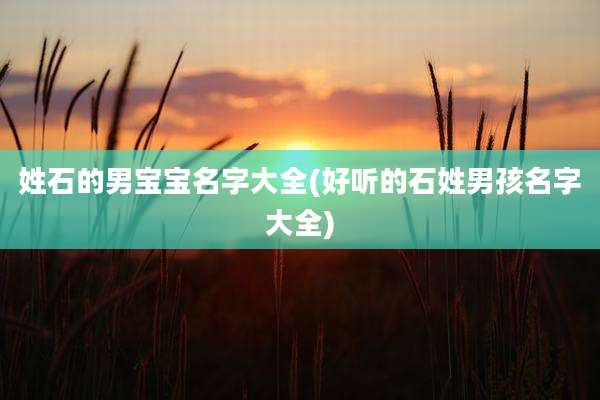 姓石的男宝宝名字大全(好听的石姓男孩名字大全)