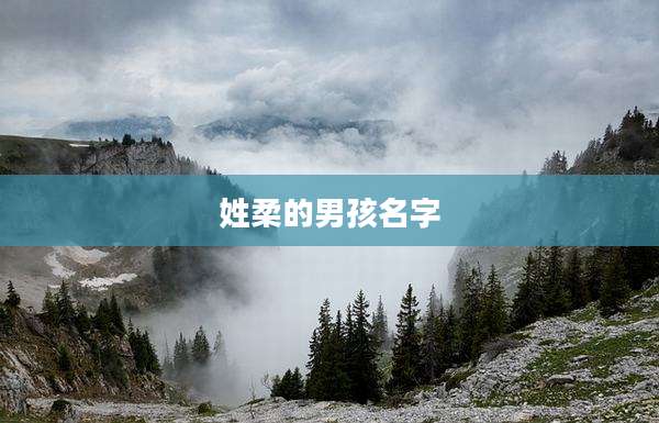 姓柔的男孩名字
