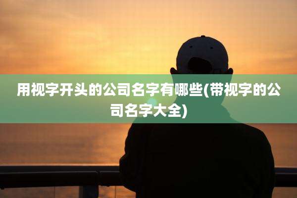 用视字开头的公司名字有哪些(带视字的公司名字大全)