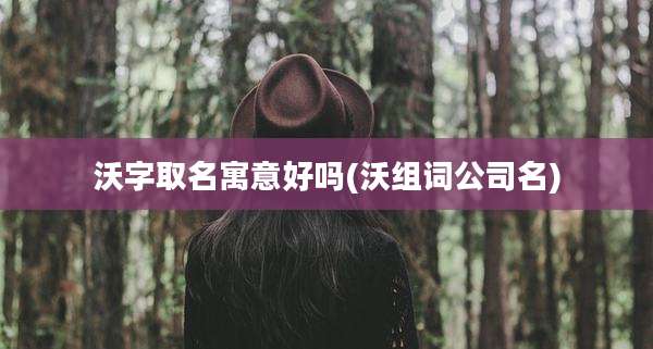 沃字取名寓意好吗(沃组词公司名)