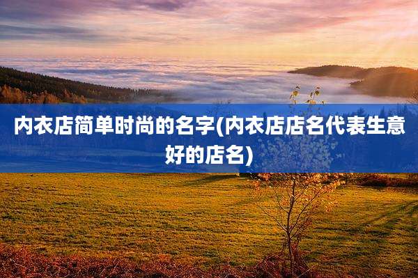 内衣店简单时尚的名字(内衣店店名代表生意好的店名)