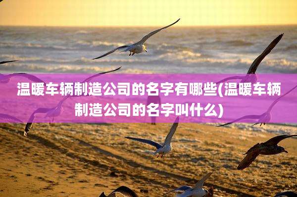温暖车辆制造公司的名字有哪些(温暖车辆制造公司的名字叫什么)