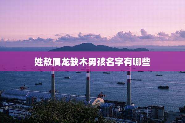 姓敖属龙缺木男孩名字有哪些
