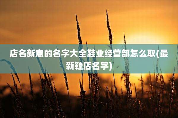 店名新意的名字大全鞋业经营部怎么取(最新鞋店名字)