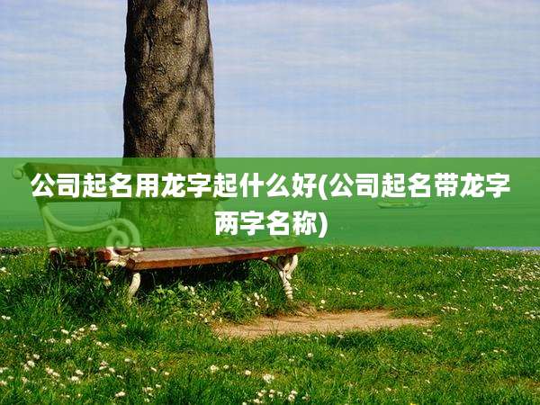 公司起名用龙字起什么好(公司起名带龙字两字名称)