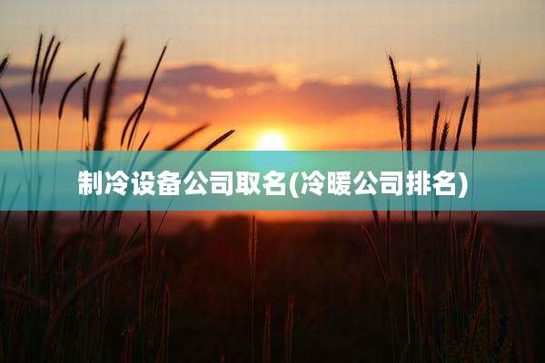 制冷设备公司取名(冷暖公司排名)