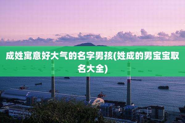 成姓寓意好大气的名字男孩(姓成的男宝宝取名大全)