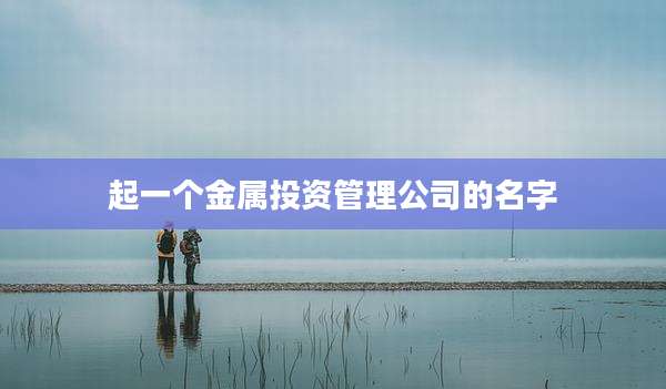 起一个金属投资管理公司的名字