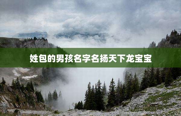 姓包的男孩名字名扬天下龙宝宝