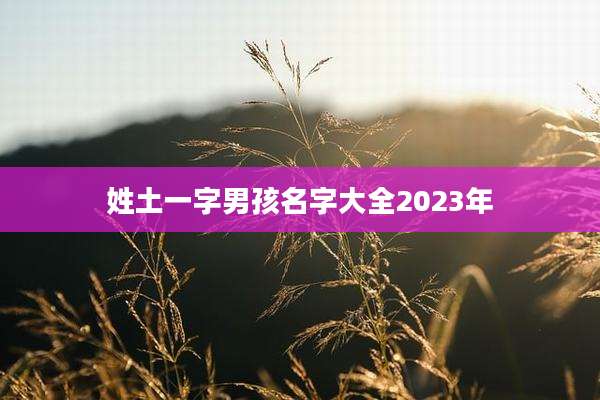 姓土一字男孩名字大全2023年
