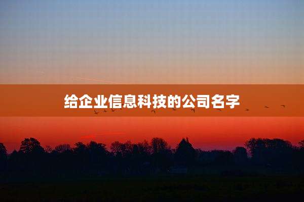 给企业信息科技的公司名字