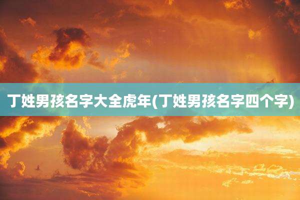 丁姓男孩名字大全虎年(丁姓男孩名字四个字)