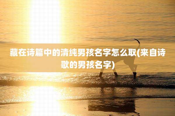 藏在诗篇中的清纯男孩名字怎么取(来自诗歌的男孩名字)