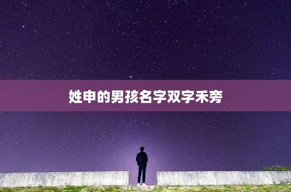 姓申的男孩名字双字禾旁
