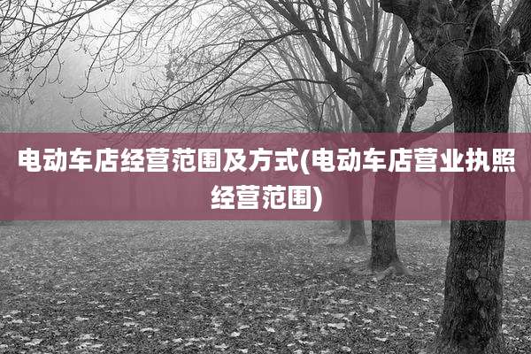 电动车店经营范围及方式(电动车店营业执照经营范围)