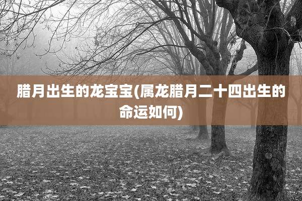 腊月出生的龙宝宝(属龙腊月二十四出生的命运如何)