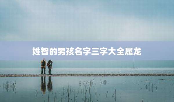 姓智的男孩名字三字大全属龙