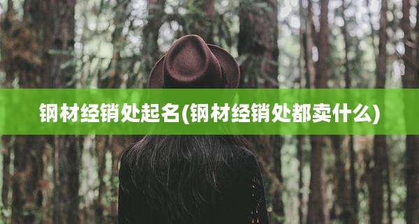 钢材经销处起名(钢材经销处都卖什么)