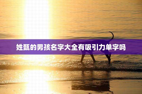 姓甄的男孩名字大全有吸引力单字吗