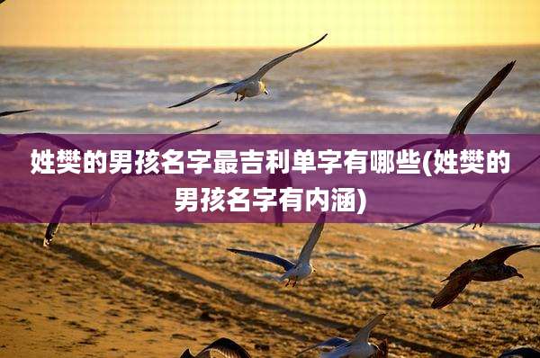 姓樊的男孩名字最吉利单字有哪些(姓樊的男孩名字有内涵)
