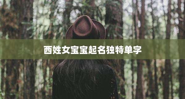 西姓女宝宝起名独特单字
