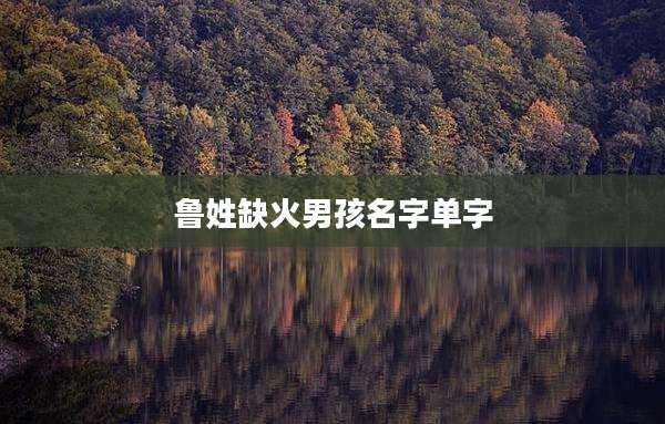 鲁姓缺火男孩名字单字