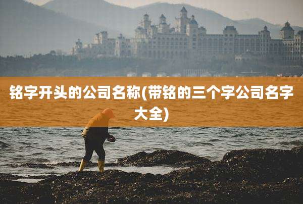 铭字开头的公司名称(带铭的三个字公司名字大全)