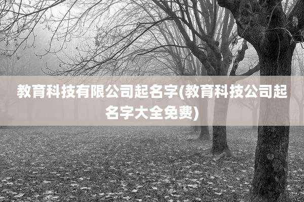 教育科技有限公司起名字(教育科技公司起名字大全免费)