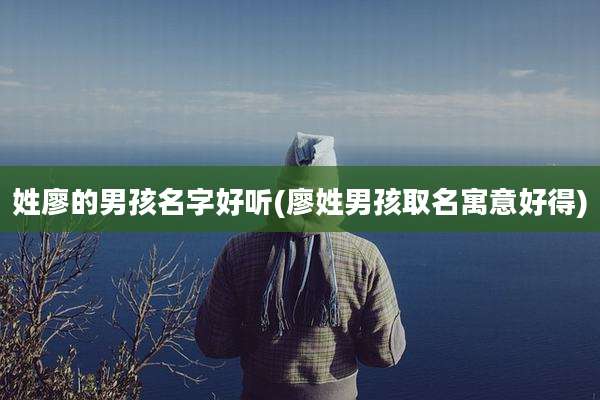 姓廖的男孩名字好听(廖姓男孩取名寓意好得)
