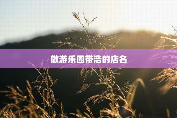 做游乐园带浩的店名