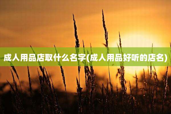 成人用品店取什么名字(成人用品好听的店名)