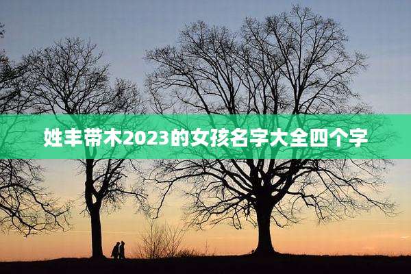 姓丰带木2023的女孩名字大全四个字